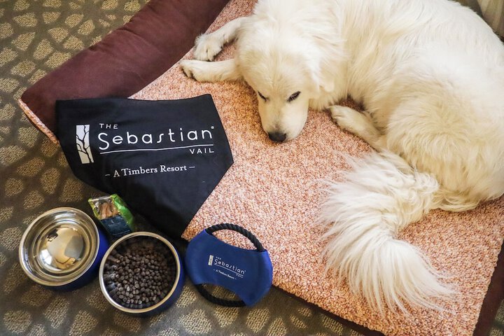 The Sebastian - Vail