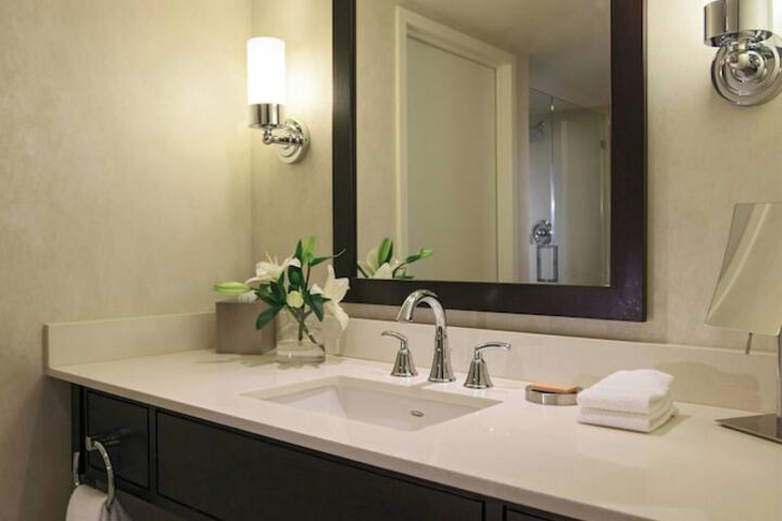 Renaissance Arlington Capital View Hotel