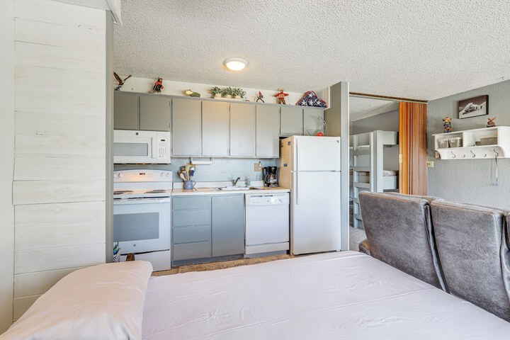 Picturesque Mt. Spokane Condo Near Skiing & Biking!