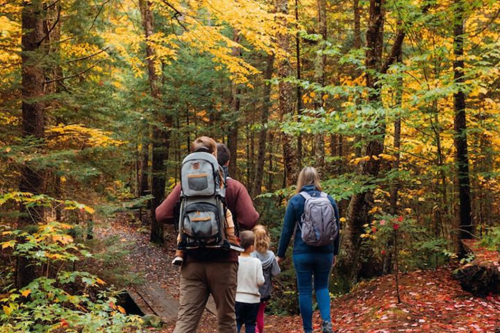 High Peaks Resort