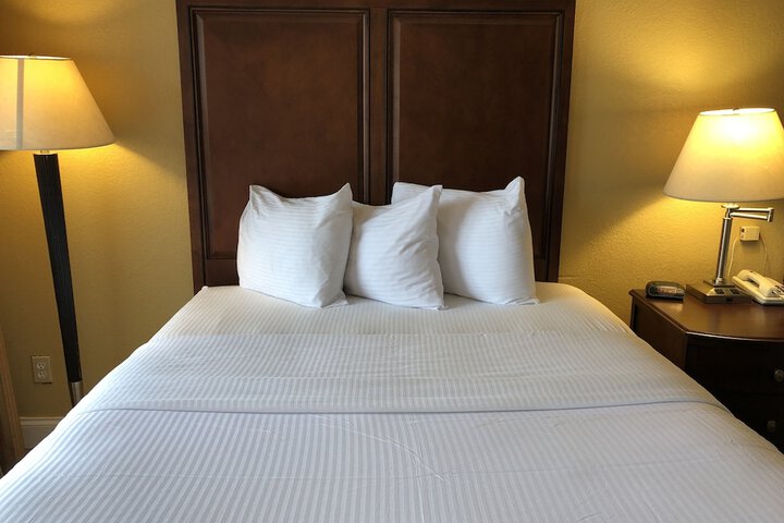 Room 25 of 28