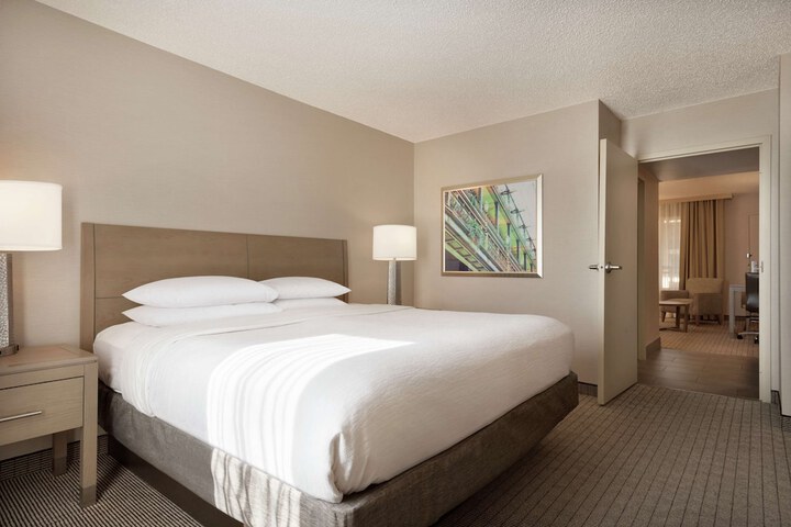 Embassy Suites by Hilton Cleveland Rockside