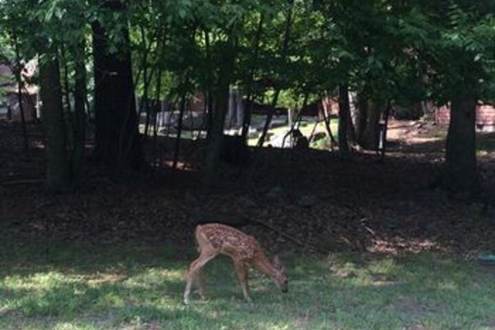 Private house in Pocono PA