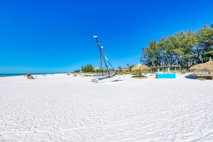 Anna Maria Island Beach Palms 5B