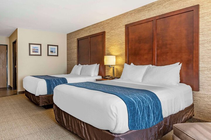Comfort Inn & Suites Ludington near US-10