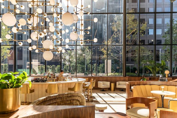 C. Baldwin Curio Collection by Hilton