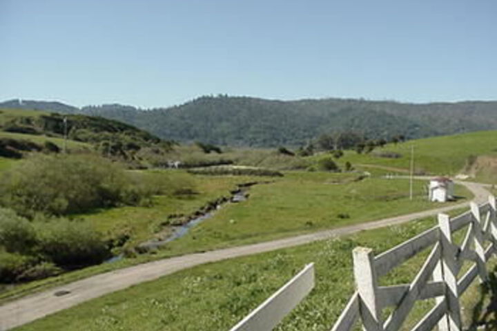 Point Reyes Vineyard Inn