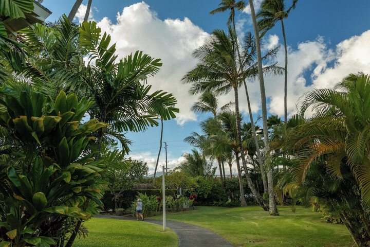 Plantation Hale Suites