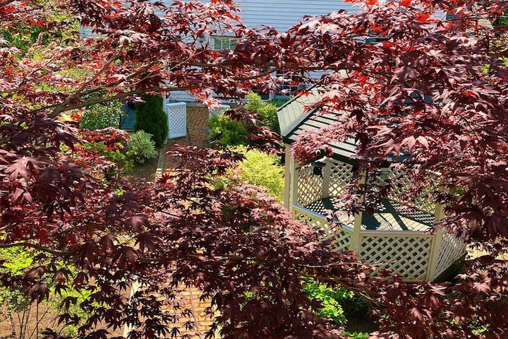 Sundeck 96 of 115