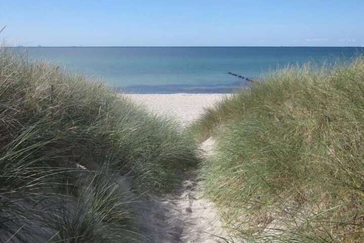 Beach 55 of 55