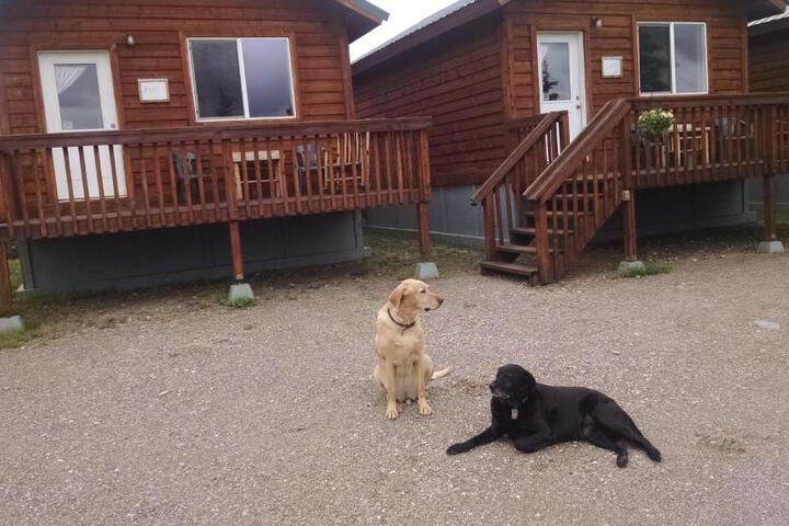 Denalis Alaskan Spruce Cabins