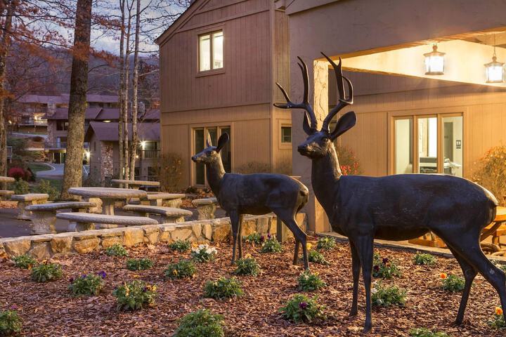 Bluegreen Vacations Blue Ridge Village an Ascend Collection Resort