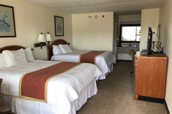 Room 14 of 34