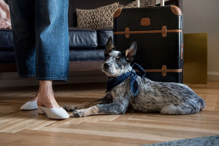 Pet Friendly 46 of 47