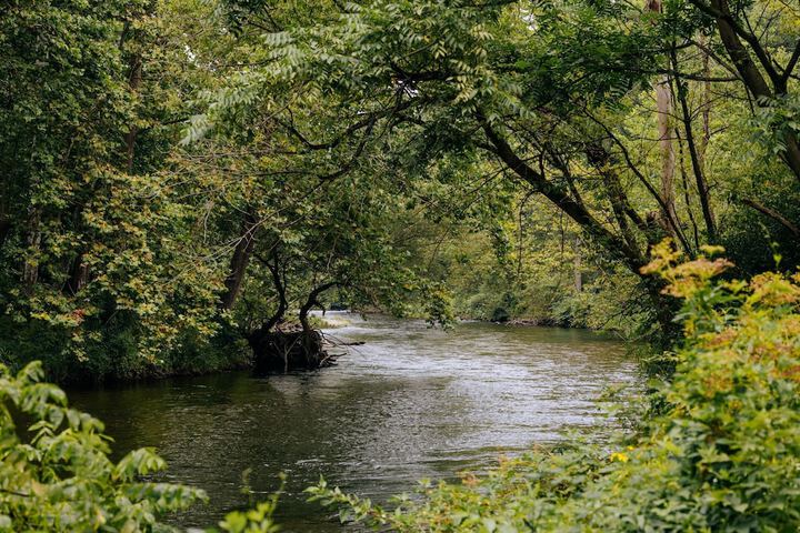 Battenkill Glamping Resort