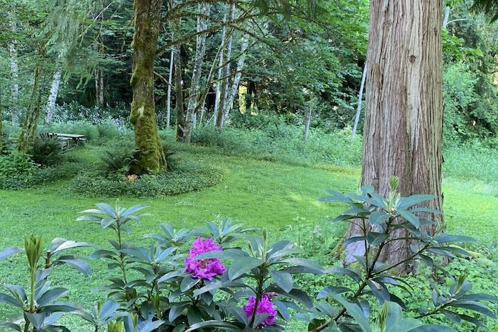 Mountain Meadows Inn