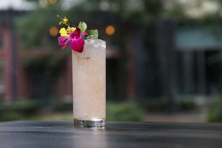 Elyton Hotel Autograph Collection by Marriott