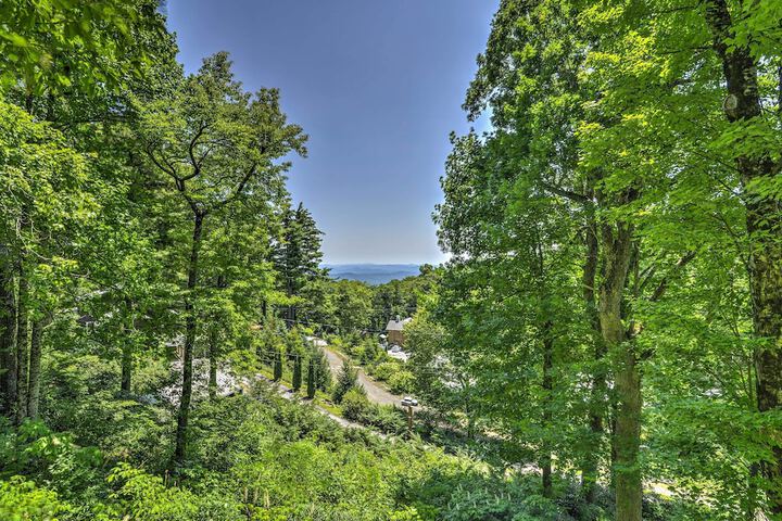 La Petite Chalet w / Views in Blue Ridge Mtns!