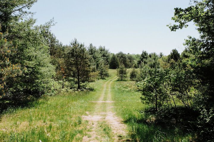 Whispering Springs Wilderness Retreat