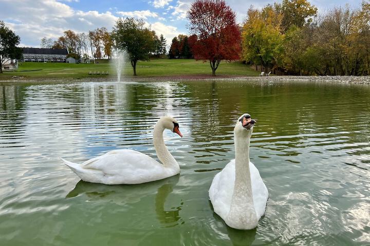 Hersey Farm Resort