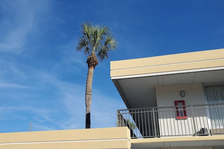 Hotel 3 of 67