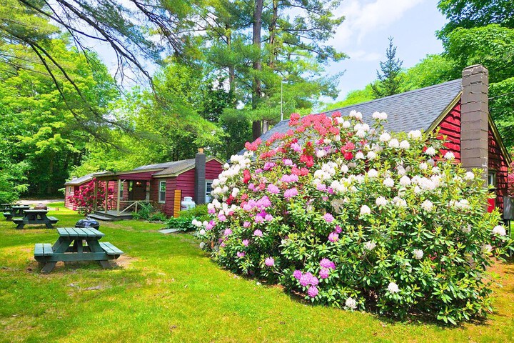 Phoenicia Lodge