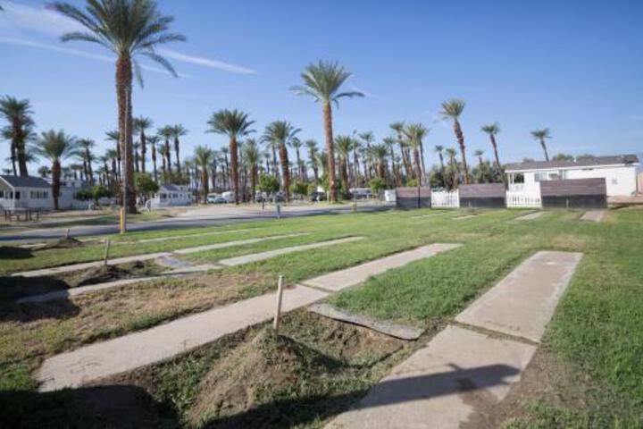 Palm Springs Camping Resort Cabin 7