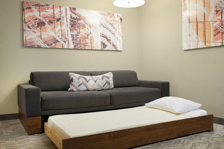 SpringHill Suites by Marriott St. Louis Airport / Earth City