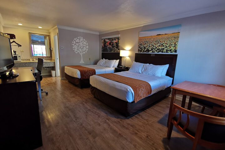 Room 18 of 34