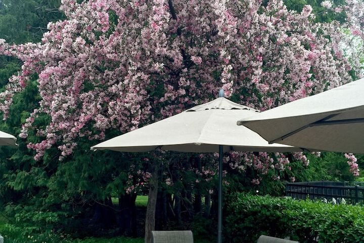 Terrace/Patio 57 of 69