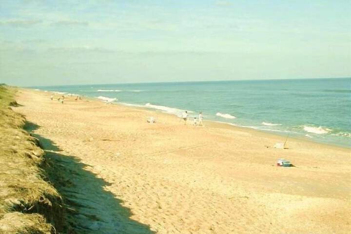 Beach 40 of 51
