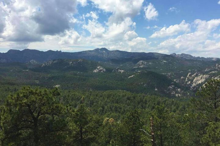 Magnuson Grand Rushmore View