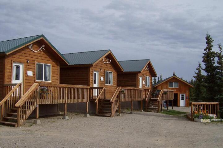 Denalis Alaskan Spruce Cabins