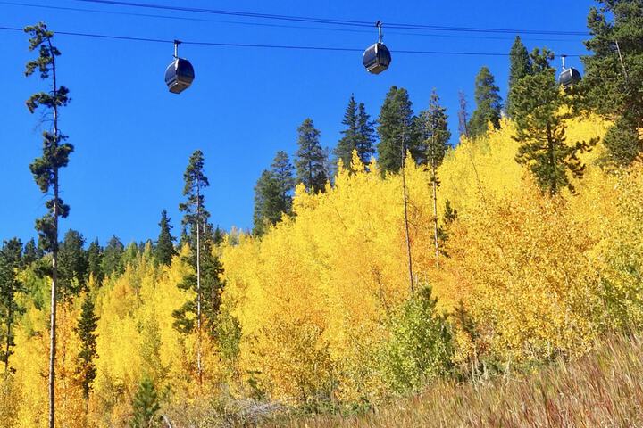 Hotel Alpenrock Breckenridge Curio Collection by Hilton