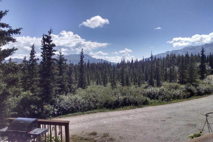 Denalis Alaskan Spruce Cabins