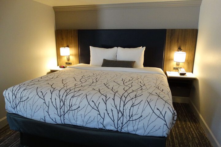 Room 38 of 55