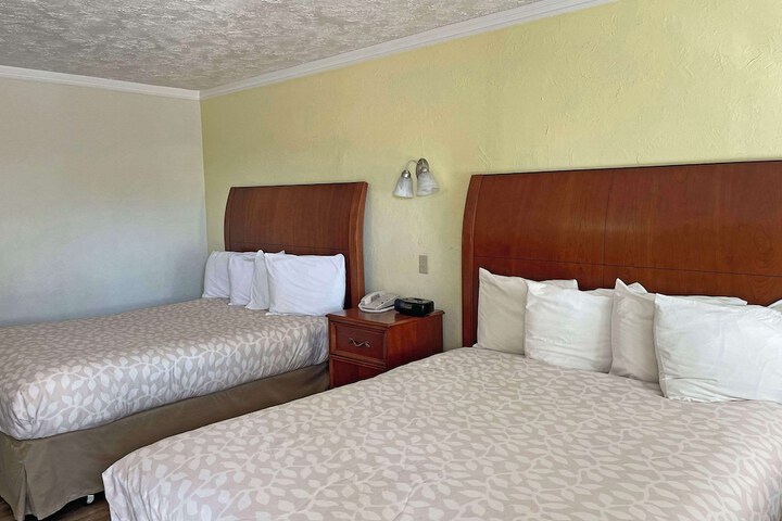 Room 38 of 48