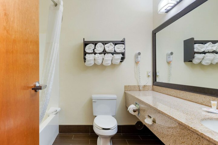 Comfort Suites Stevensville - St. Joseph