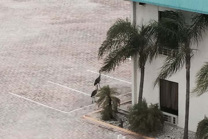 Lakeshore Resort and Marina