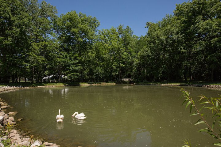Property Grounds 42 of 51