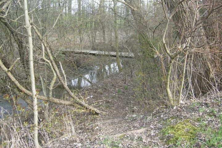 Property Grounds 30 of 40