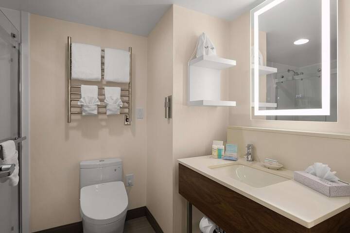 Hampton Inn Greenville / Travelers Rest