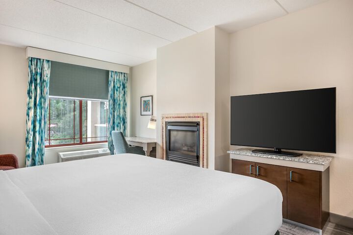 Hilton Garden Inn Wisconsin Dells