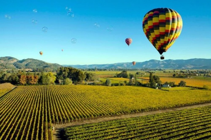 The Knoll Hotel Napa Valley Tapestry Collection by Hilton