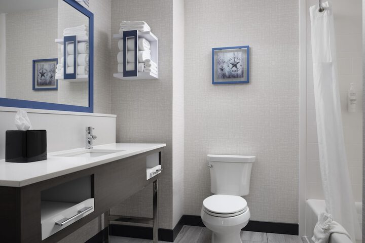 Hampton Inn & Suites Dallas-DFW ARPT W-SH 183 Hurst
