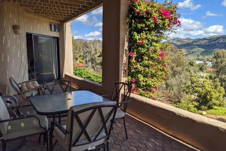 Buena Creek Vista Primary Subdivided Home with Views and Pool