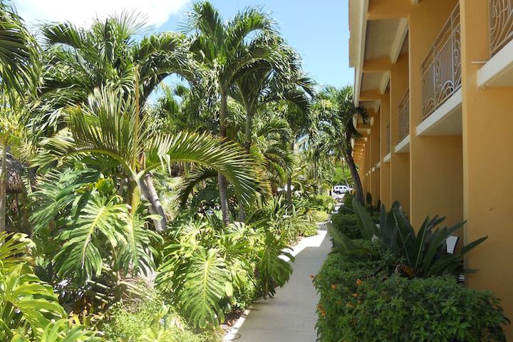 Hotel 6 of 56