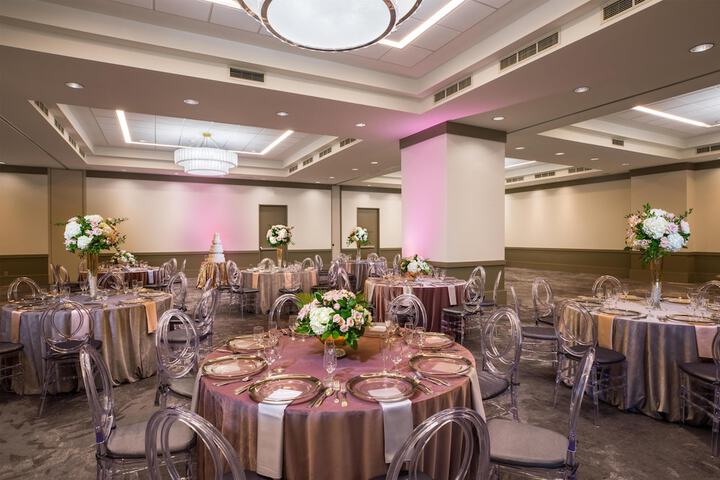 C. Baldwin Curio Collection by Hilton