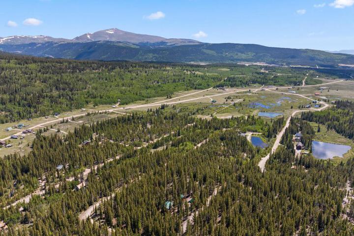 Relaxing Alpine Oasis - Minutes from Breckenridge