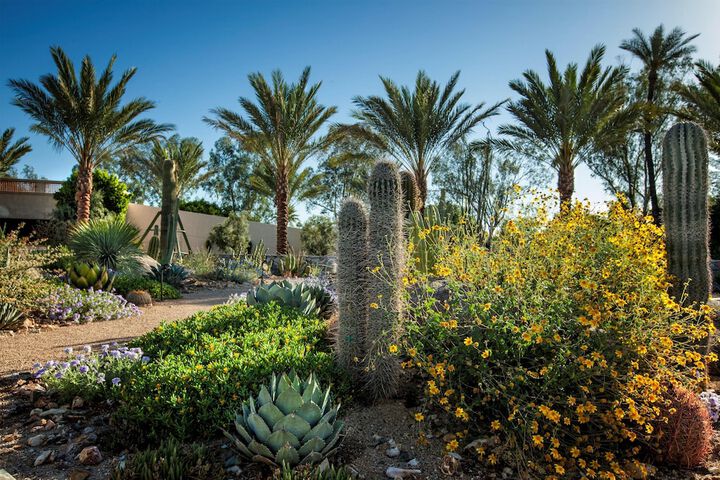 The Scottsdale Resort and Spa Curio Collection by Hilton